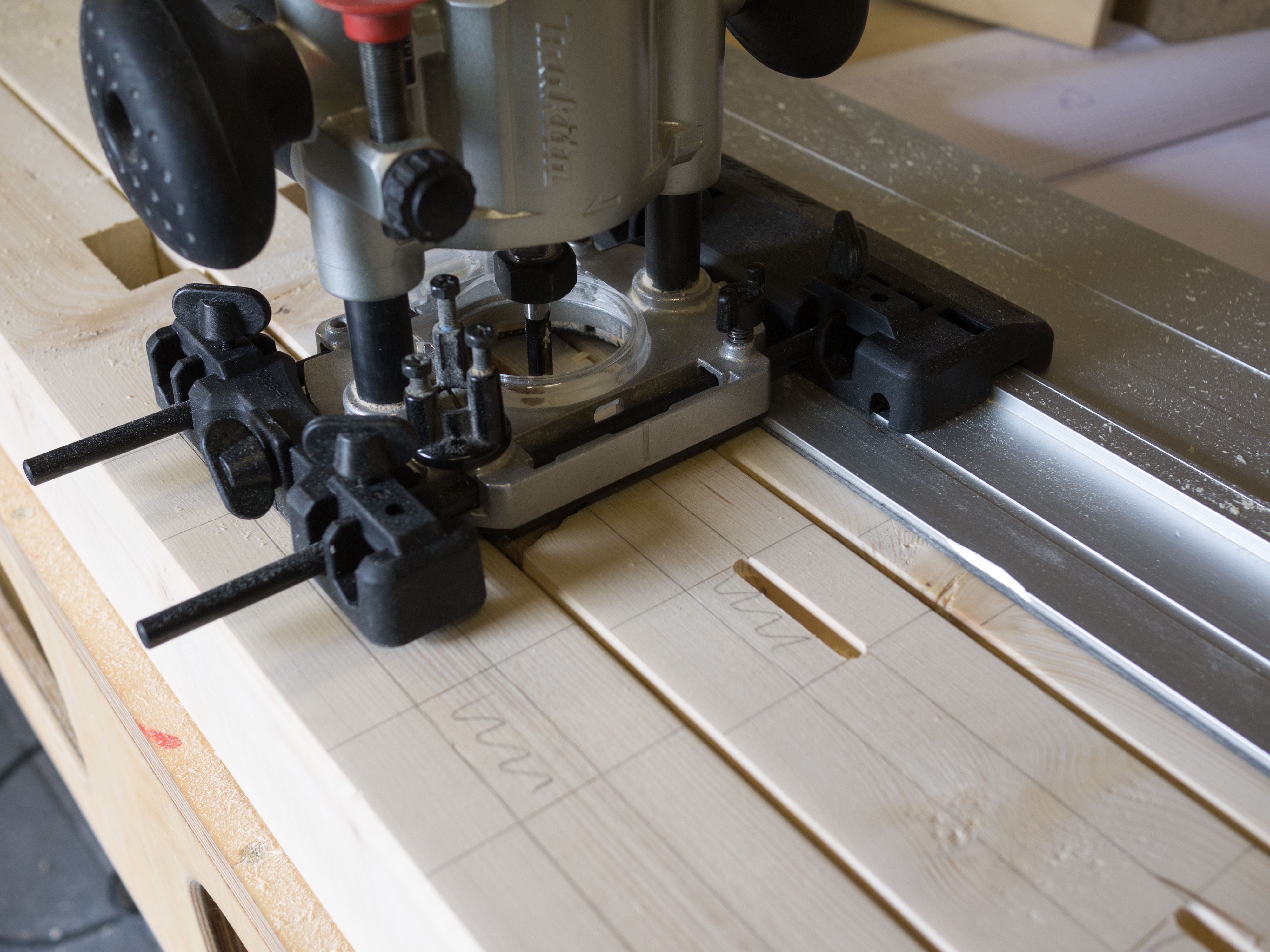 20160511 Gartenzaun 016